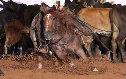 Araçatuba sedia pelo 6º ano consecutivo o Campeonato Nacional da ABQM