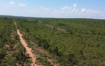 Suzano e IFC firmam acordo para conectar 35 mil hectares de vegetação nativa no Cerrado