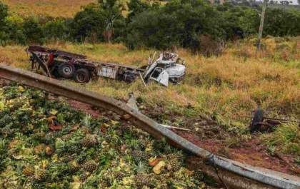 Caminhoneiro morre ao tentar desviar de vacas na BR-262