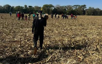 Comitiva federal visita áreas de conflitos indígenas em MS