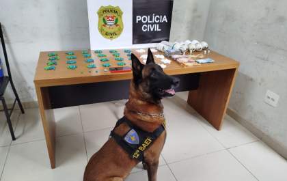 Cão policial encontra mais de 600 porções de drogas escondidas em lâmpadas em bar no Umuarama