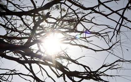 Sábado tem previsão de tempo estável e sol