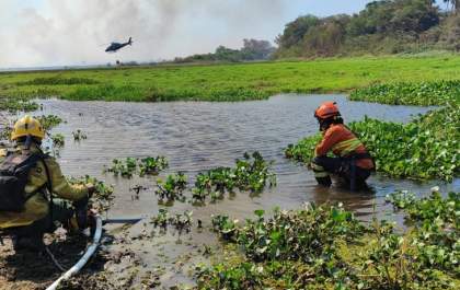 Bombeiros intensificam combate a incêndios no Pantanal