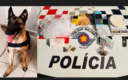 Cão encontra drogas em bar e Baep prende vendedor no Alvorada