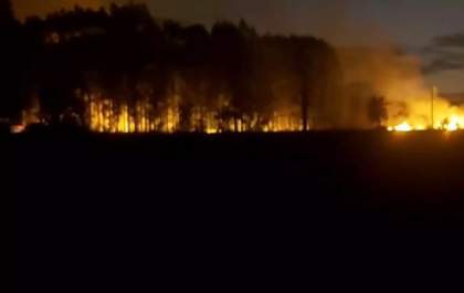 Incêndio devasta 20 hectares de eucaliptos e ameaça residência na BR-262