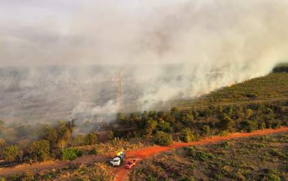 Incêndio atinge vegetação próxima à BR-262 em Três Lagoas