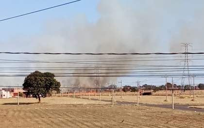 Fogo atinge vegetação na Rua Custódio Andries