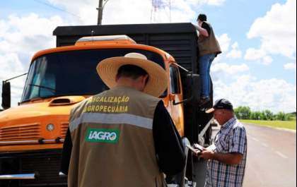 Com salários de R$ 7 mil, inscrições para concurso da Iagro seguem abertas