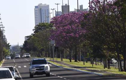 Terça-feira promete ser de sol e tempo firme em Mato Grosso do Sul, mas frio permanece