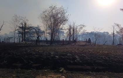 Incêndio atinge vegetação entre Três Lagoas e Castilho