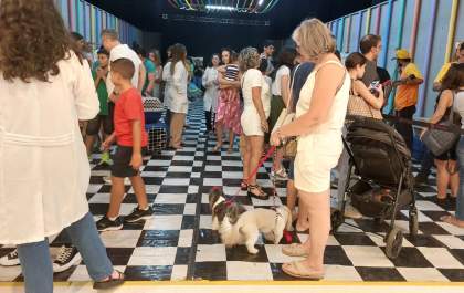 Praça Nova realiza encontro pet para cães da raça border collie