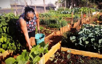 Hortas Comunitárias de Birigui - um exemplo de quintal agroecológico