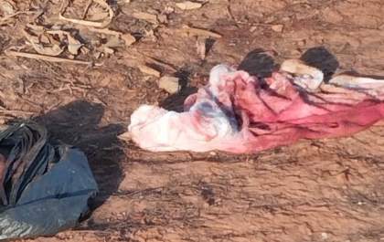 Bebê recém-nascido é encontrado morto em canavial