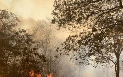 Incêndio atinge vegetação próximo à UFMS em Três Lagoas