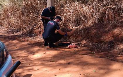 Polícia Civil tenta identificar mãe de recém-nascido encontrado morto em estrada