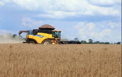 Valor Bruto da Produção agropecuária em MS&nbsp;soma quase R$ 60 bilhões no ano