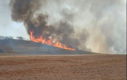Governo do Estado decreta situação de emergência em 45 municípios em razão dos incêndios