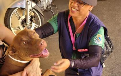 Quase 10 mil cães já receberam coleira contra leishmaniose em Araçatuba