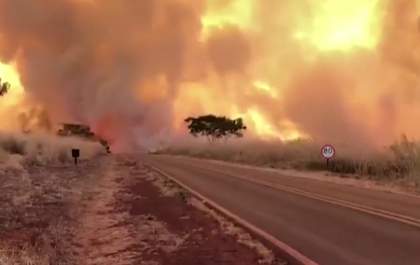 Usina oferece até R$ 20 mil por informação sobre incêndios em canaviais