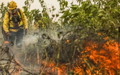 Brasil registrou mais de 154 mil focos de calor em 2024