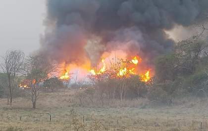 Prefeitura de Braúna decreta estado de emergência após incêndio na área da Aldeia Indígena Icatu