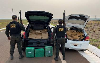 DOF apreende carga milionária de maconha em Amambai
