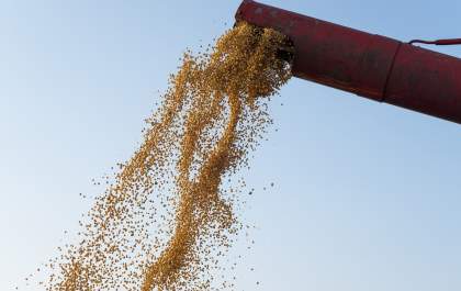 Após seis anos em alta, valor da produção agrícola cai 2,3% em 2023