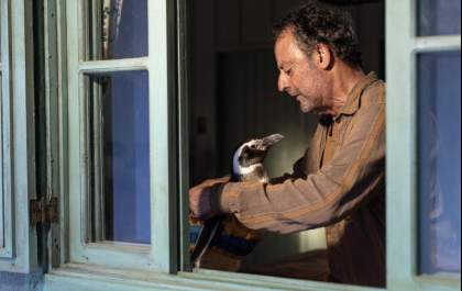 'Meu Amigo Pinguim' é uma das estreias da semana nos cinemas