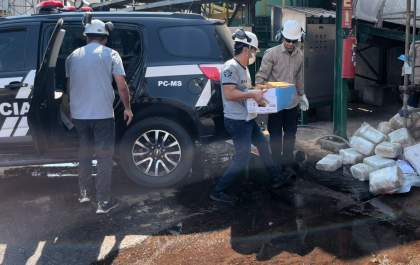 Polícia Civil incinera 300 kg de drogas apreendidas em operações em Três Lagoas