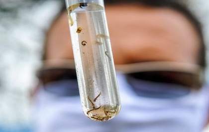 MS registra 15.839 casos confirmados de dengue em 2024