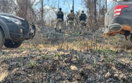 PF investiga incêndios e crimes conexos na Terra Indígena Apyterewa