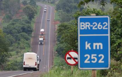 Governo lança edital público de licitação da Rota da Celulose