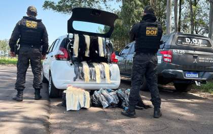 DOF apreende mais de 130 kg de cabelo humano em MS