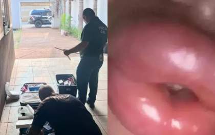 Vítima de falsa biomédica na Capital descobre que foi aplicado silicone Industrial do rosto