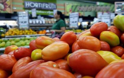 Tomate rasteiro chega a 139% de variação em regiões de MS