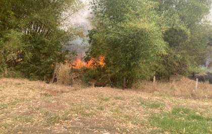 Dupla é condenada a mais de 7 anos de prisão por incendiar mata durante estiagem extrema