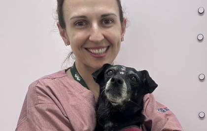 Sábado haverá encontro de cães que venceram o câncer