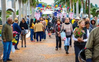 Pesquisa do PROCON revela variação de preços em flores e velas para o Dia de Finados
