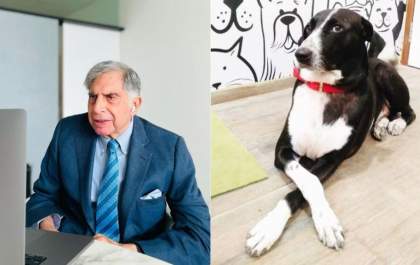 Última vontade: Ratan Tata deixa fortuna para seu fiel companheiro