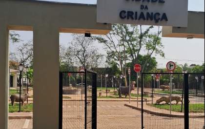 Cidade da Criança e Ecozoológico de Araçatuba serão inaugurados na sexta