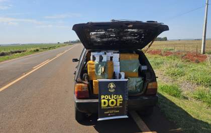 Ações do DOF tiram de circulação mais de R$ 1 milhão em materiais ilegais