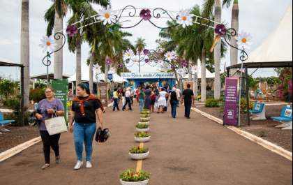 Cerca de 15 mil pessoas visitaram o Cemitério Municipal no Dia de Finados