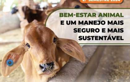 Defesa Agropecuária inova marcação de vacinação contra Brucelose no Estado