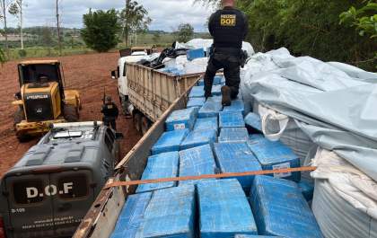 DOF apreende carreta com 8 toneladas de maconha em meio a carga de fertilizantes