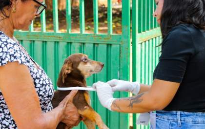 5ª etapa do projeto Encoleira Cão inicia com ação preventiva contra a Leishmaniose