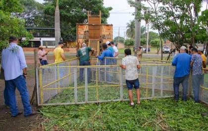 Prefeitura leva mais 21 capivaras da Lagoa Maior para o Parque Natural do Pombo