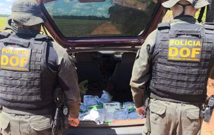 Foragido da Justiça é preso pelo DOF com defensivos agrícolas contrabandeados