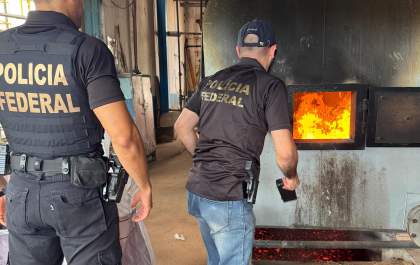 Polícia Federal incinera 361 quilos de maconha