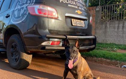 Casal é preso em operação da Polícia Civil por tráfico de drogas em MS