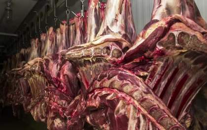 Senado mantém isenção de impostos para carnes e queijos na reforma tributária